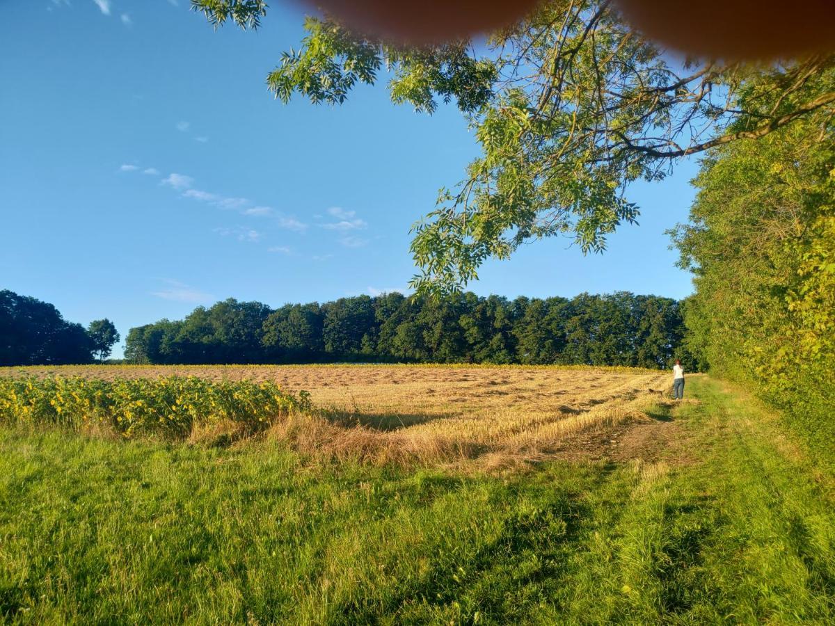Haus Ringgau - Urlaub, Gemeinschaft Und Erlebnis Im Herzen Von Deutschland Herleshausen المظهر الخارجي الصورة