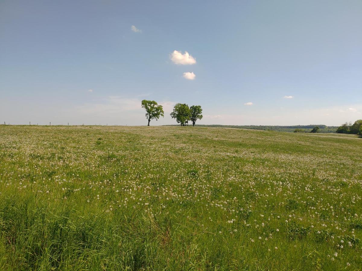 Haus Ringgau - Urlaub, Gemeinschaft Und Erlebnis Im Herzen Von Deutschland Herleshausen المظهر الخارجي الصورة