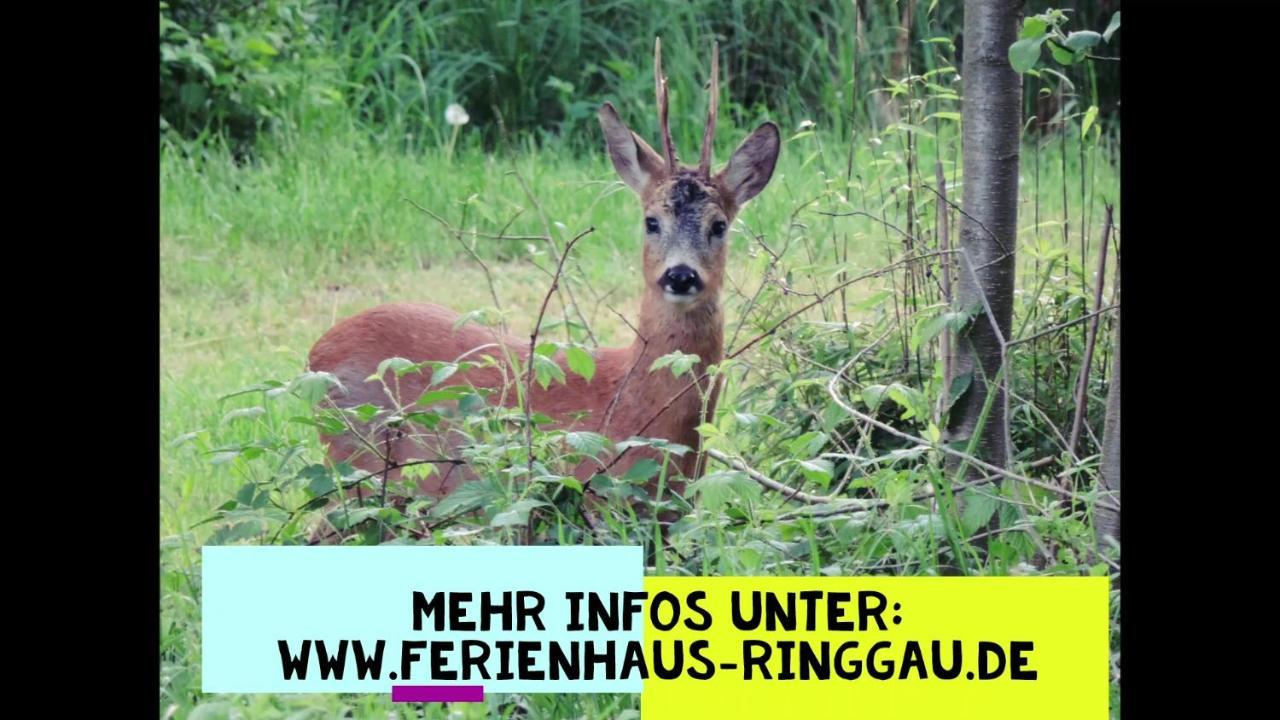Haus Ringgau - Urlaub, Gemeinschaft Und Erlebnis Im Herzen Von Deutschland Herleshausen المظهر الخارجي الصورة