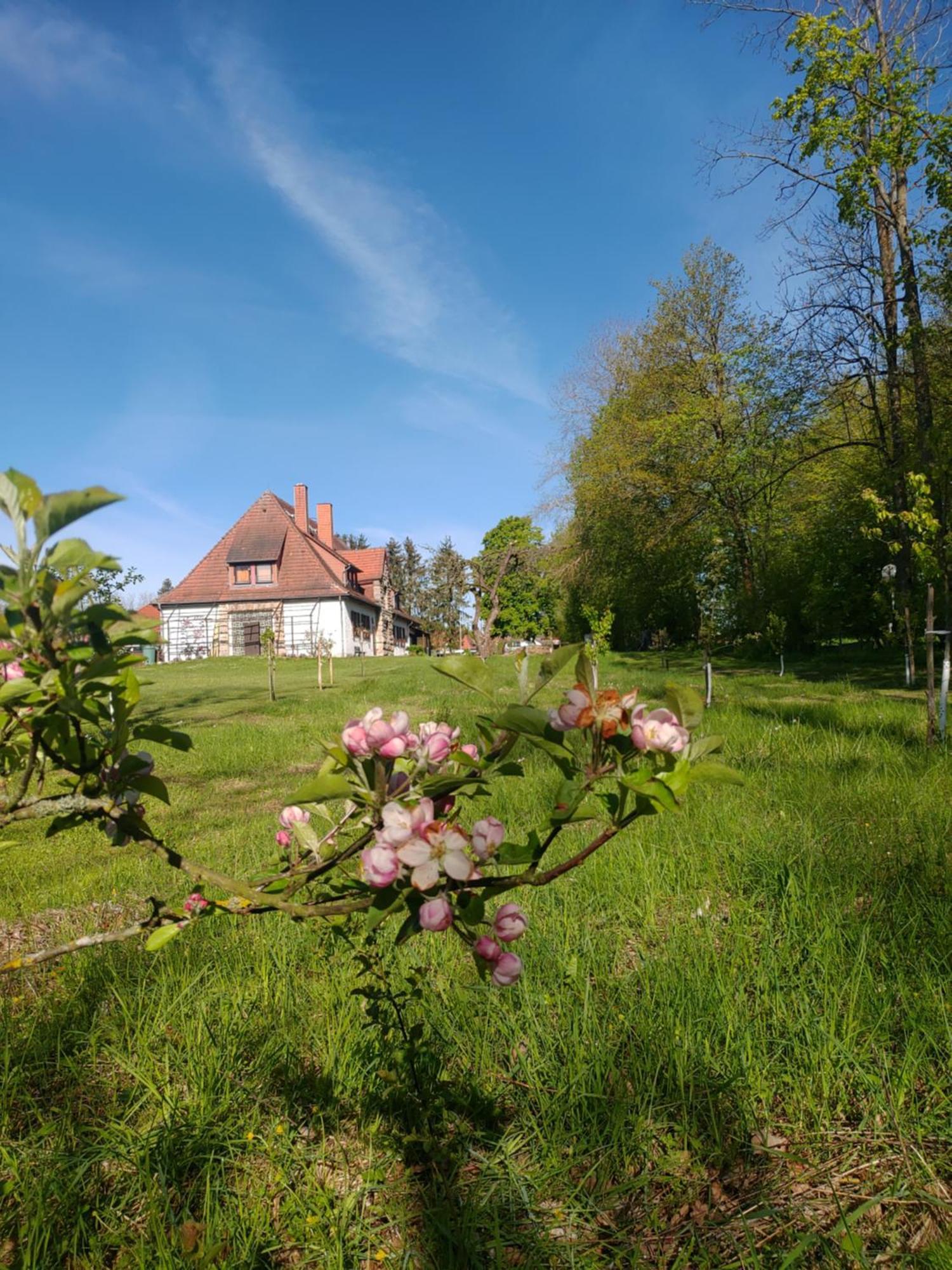 Haus Ringgau - Urlaub, Gemeinschaft Und Erlebnis Im Herzen Von Deutschland Herleshausen المظهر الخارجي الصورة